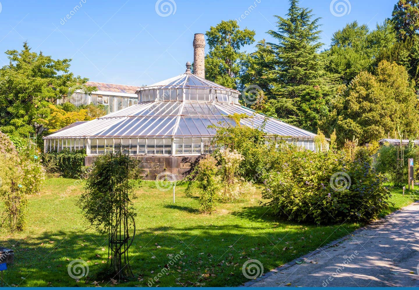 斯特拉斯堡大学