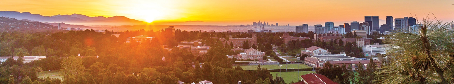 加州大学洛杉矶分校