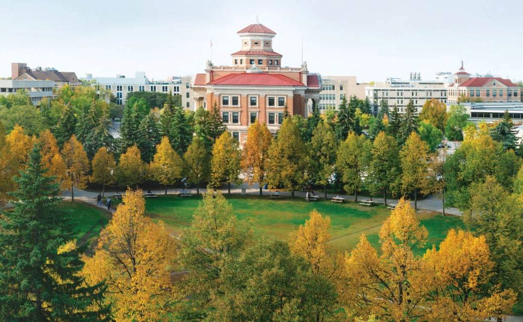 曼尼托巴大学