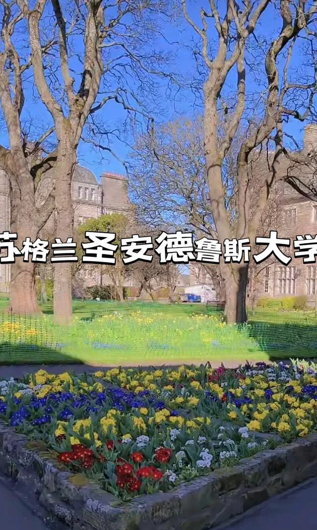 圣安德鲁斯大学