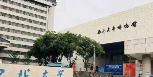 西北大学