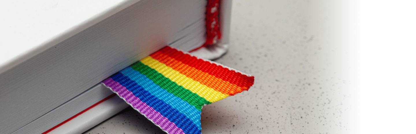 南新罕布什尔大学