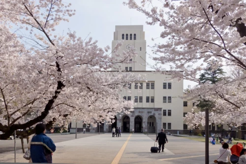 日本大学