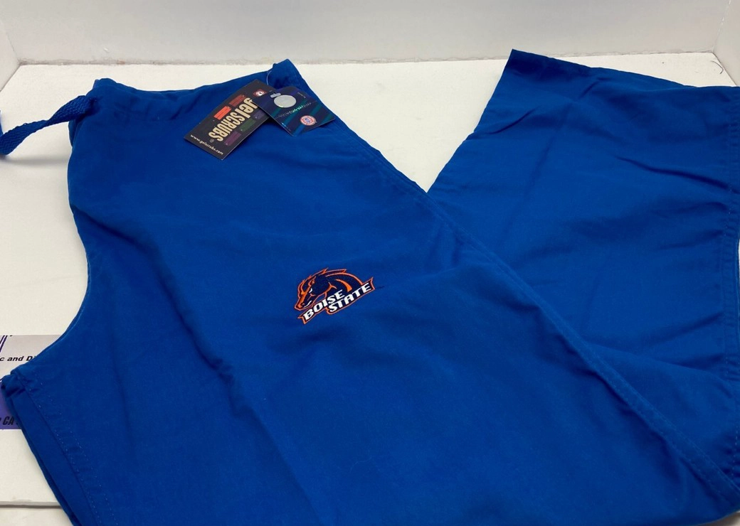 博伊西州立大学