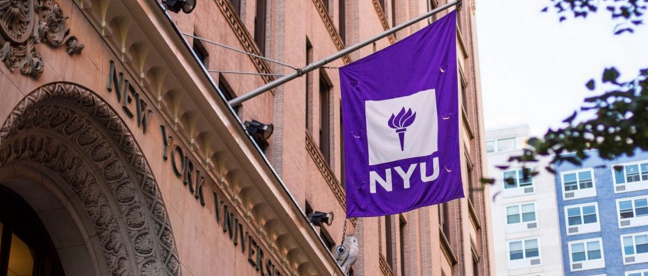 纽约大学