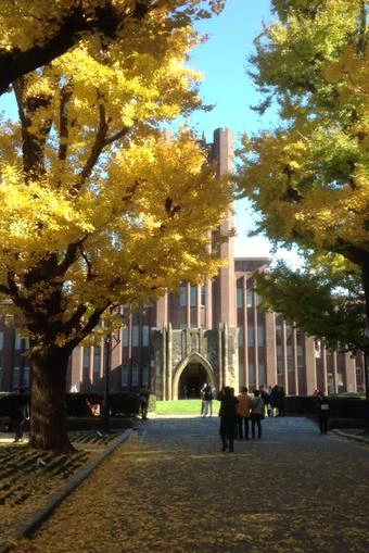 东京大学