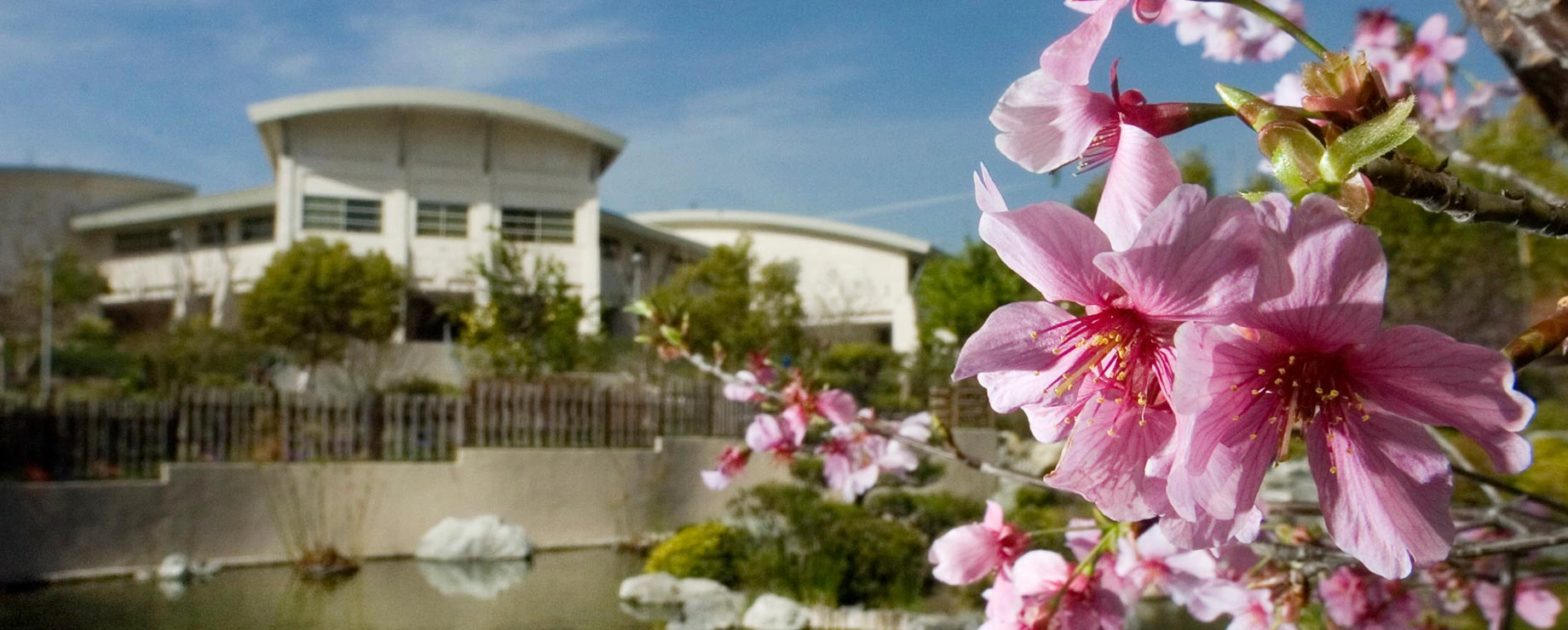 波莫纳加州理工大学