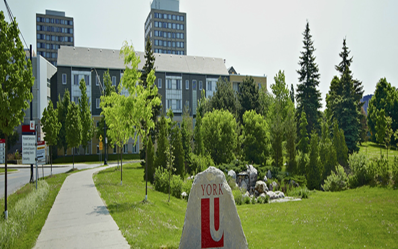 加拿大约克大学