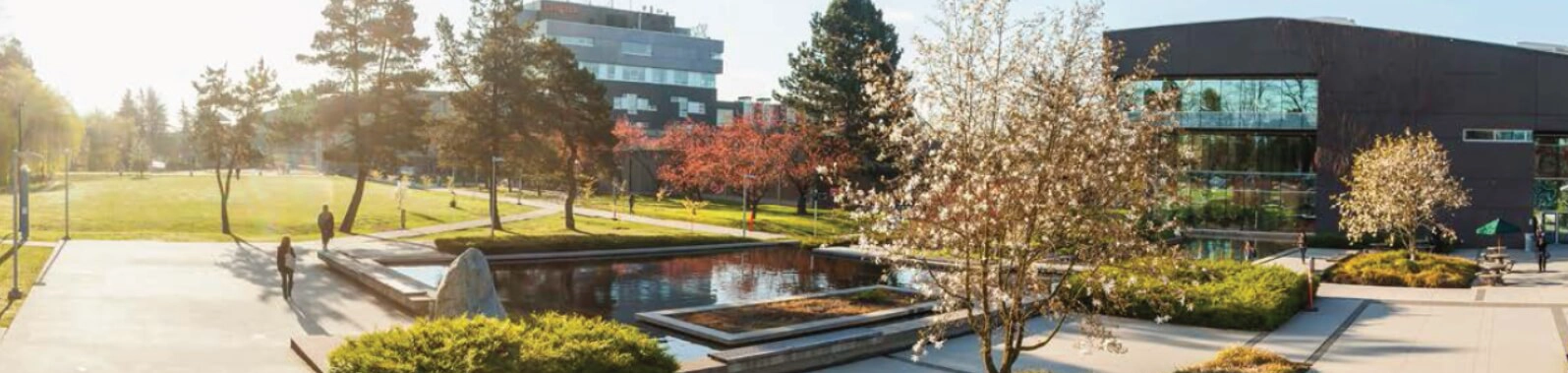 加拿大兰加拉学院