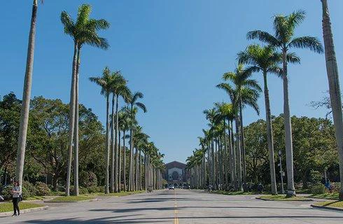 台北市大学