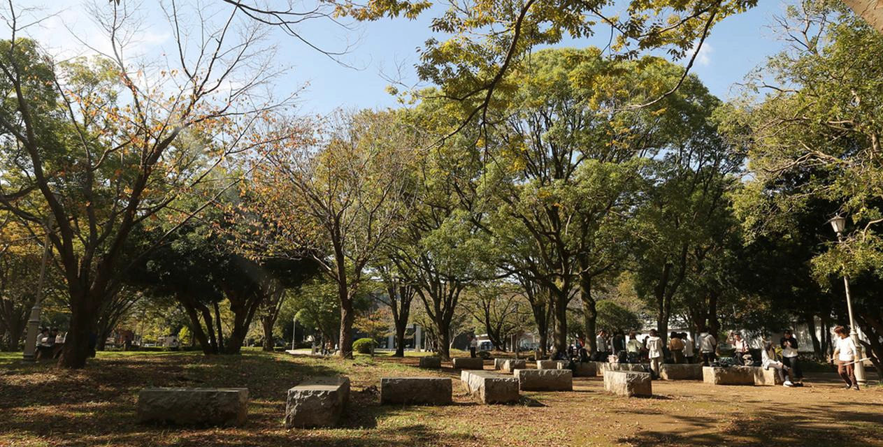 日本千叶大学