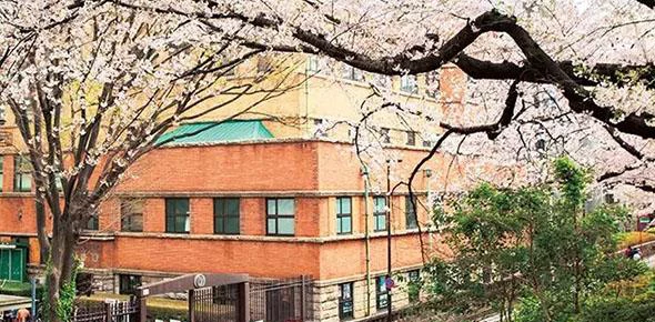 上智大学