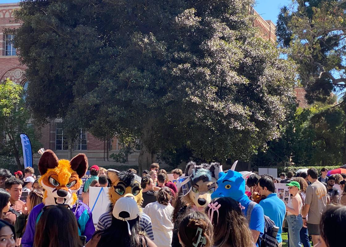 加州大学洛杉矶分校