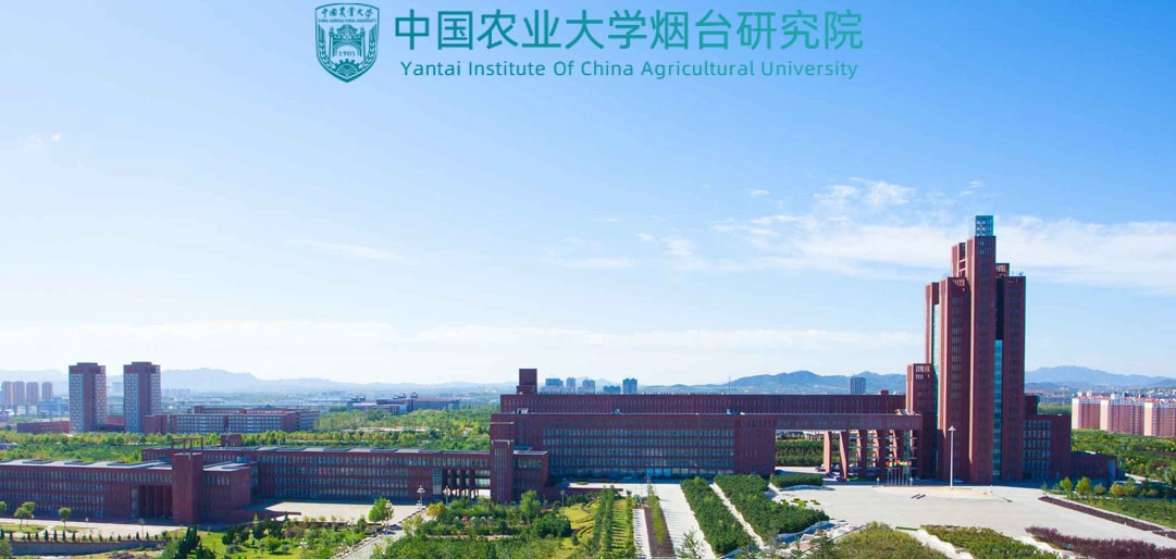 澳门国际公开大学