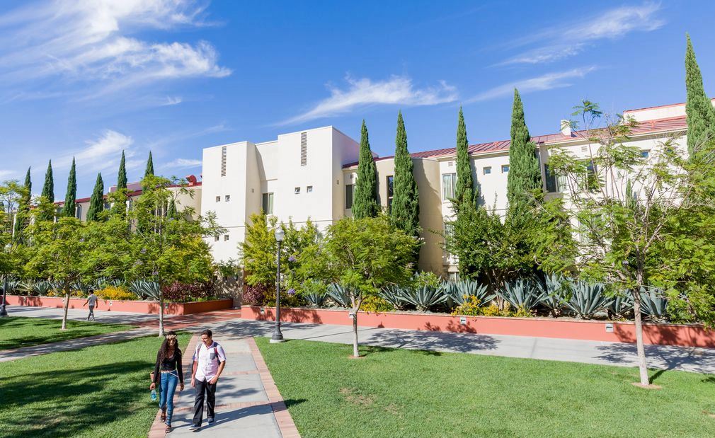 加州大学洛杉矶分校