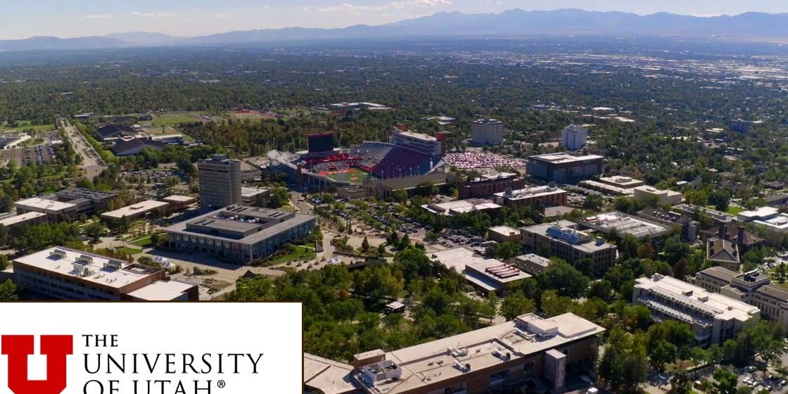 犹他大学
