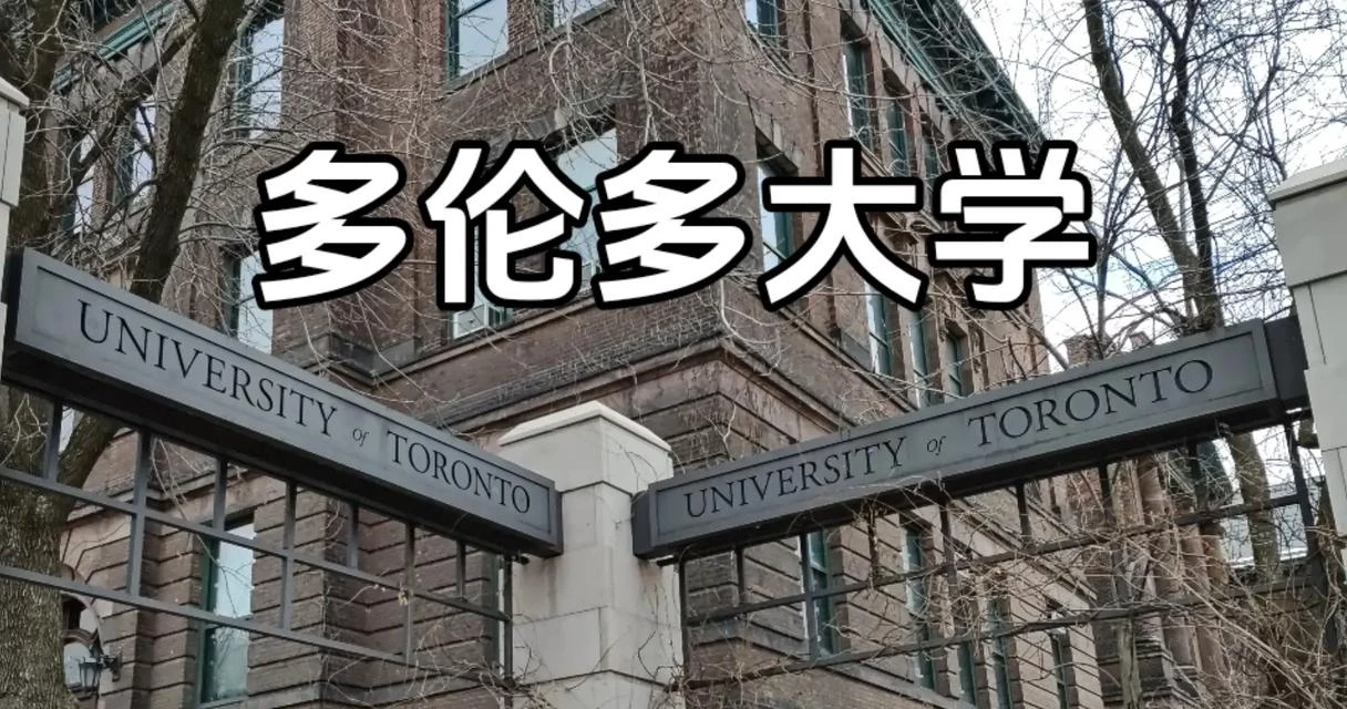 多伦多大学