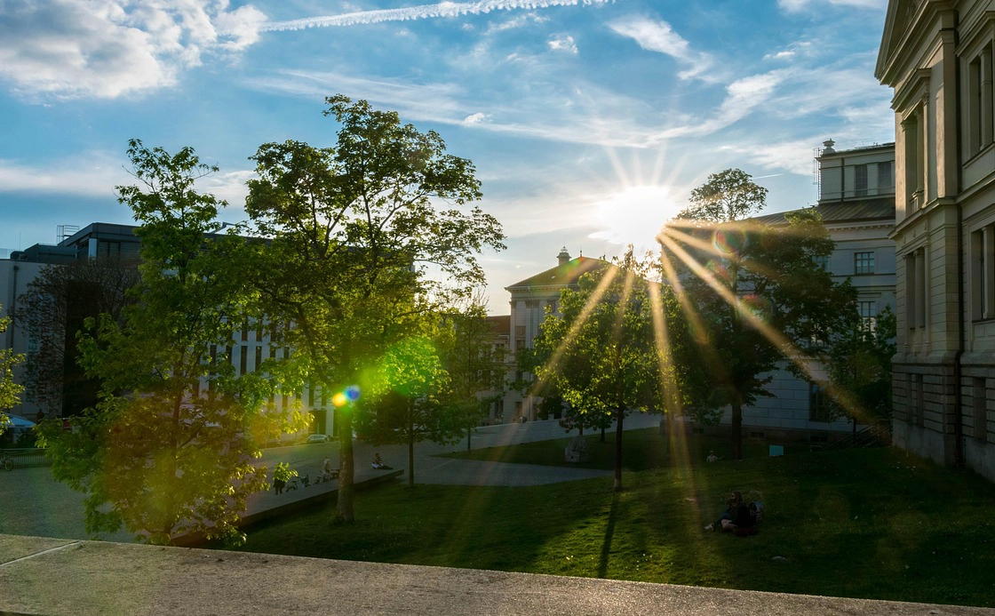 萨克森-安哈尔特大学