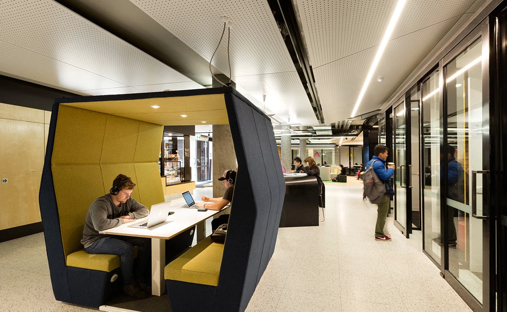 塔斯马尼亚大学