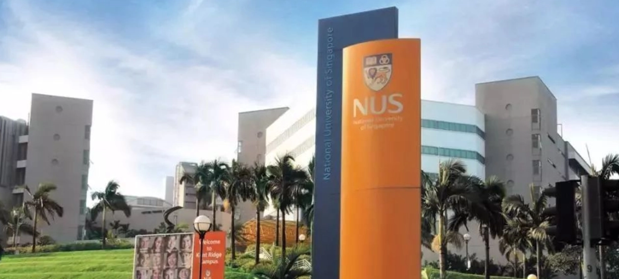 新加坡国立大学