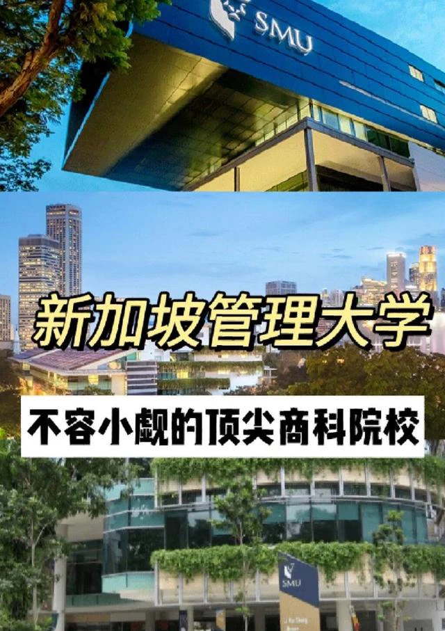 新加坡管理学院