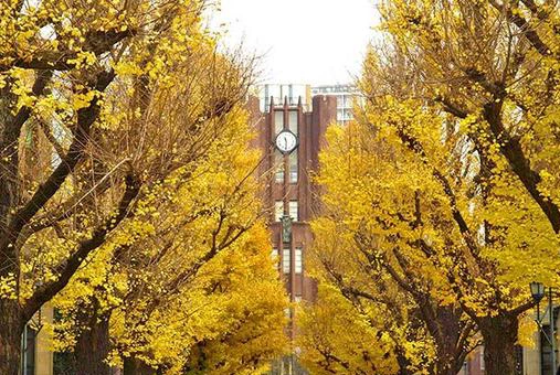 东京大学