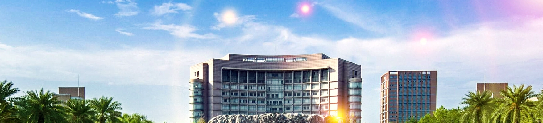 麦考瑞大学