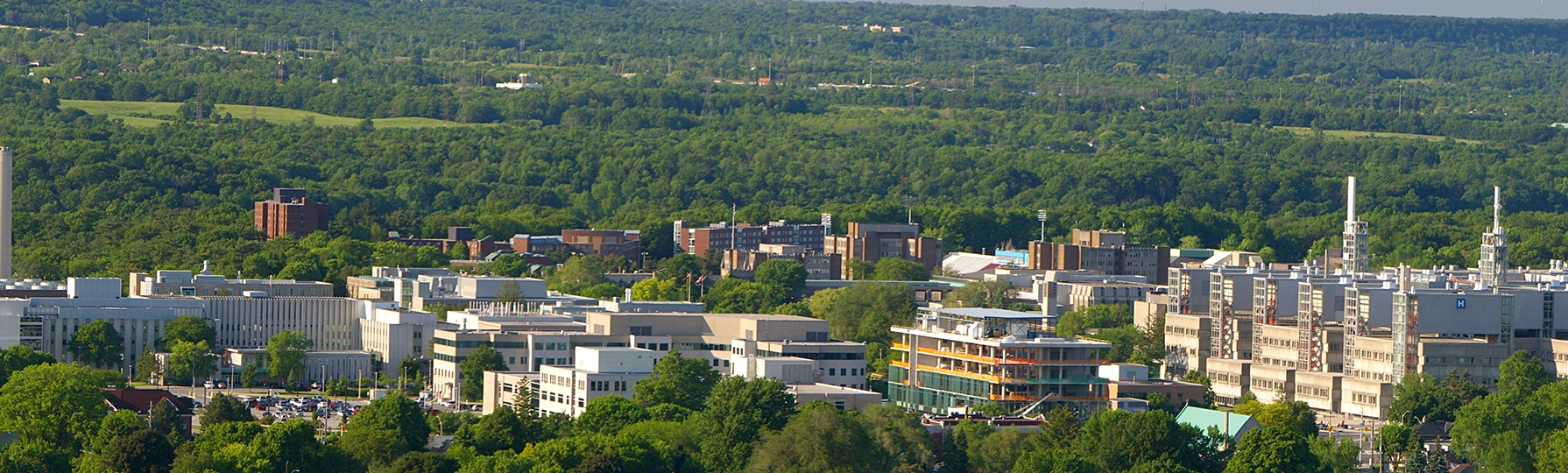 麦克马斯特大学