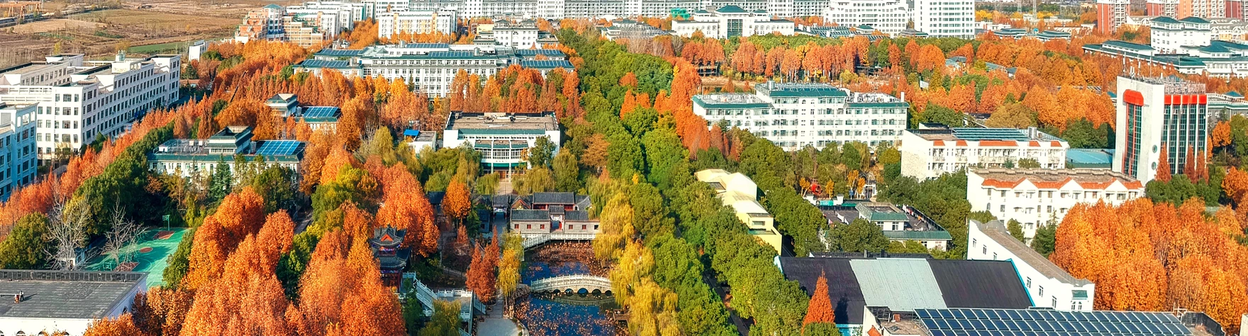 东京大学