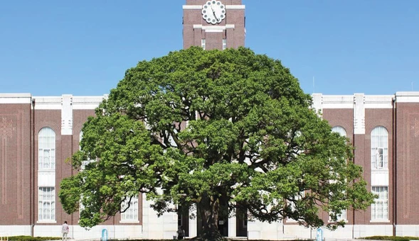 山梨大学