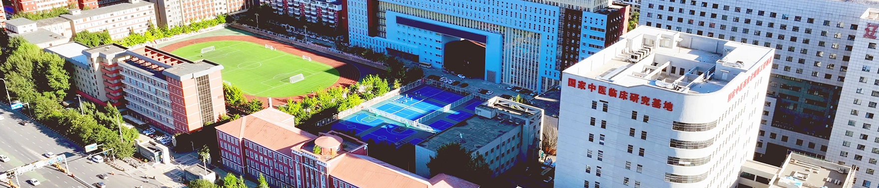 新西兰理工学院