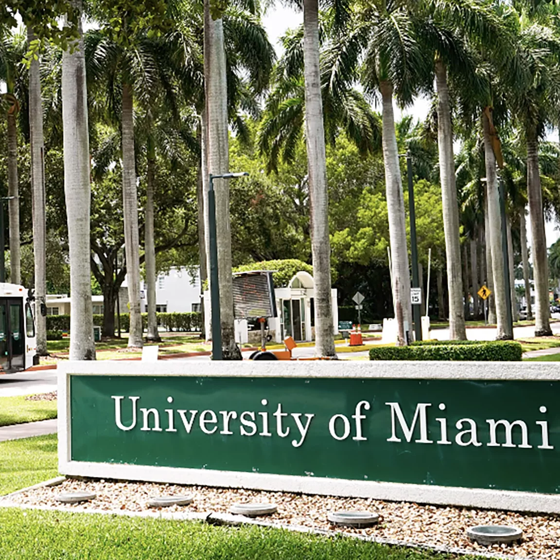 迈阿密大学