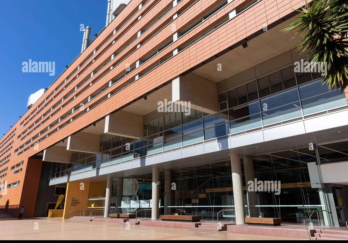 新南威尔士大学