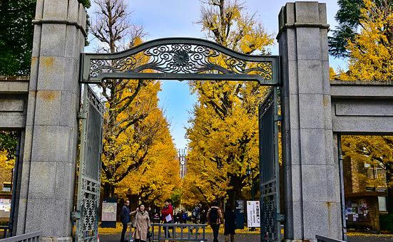 东京大学