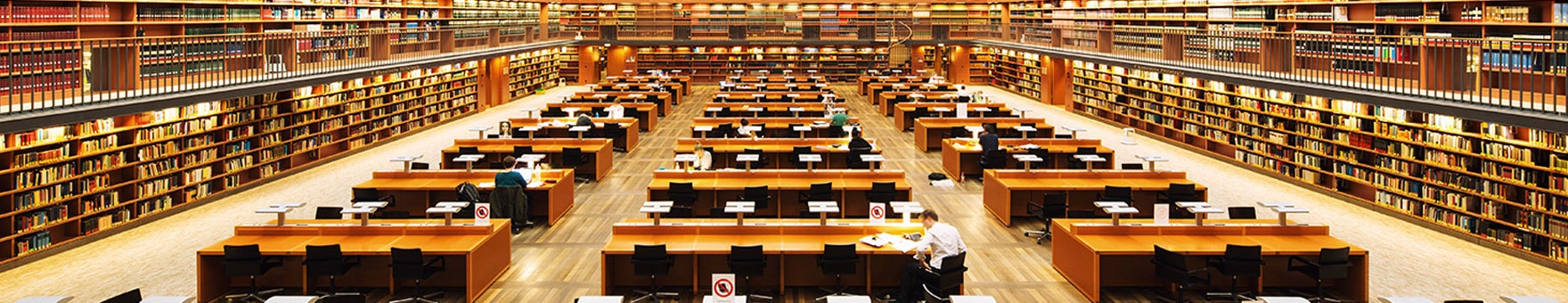 德累斯顿工业大学