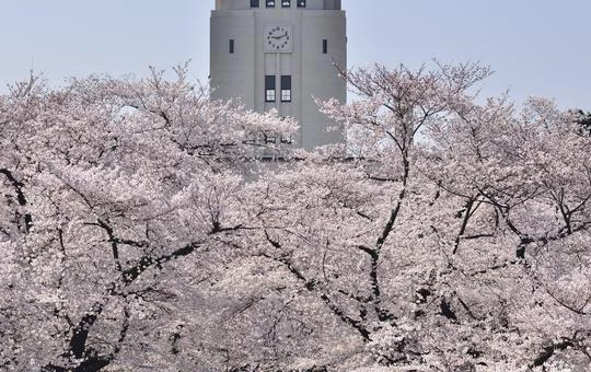 东京工业大学