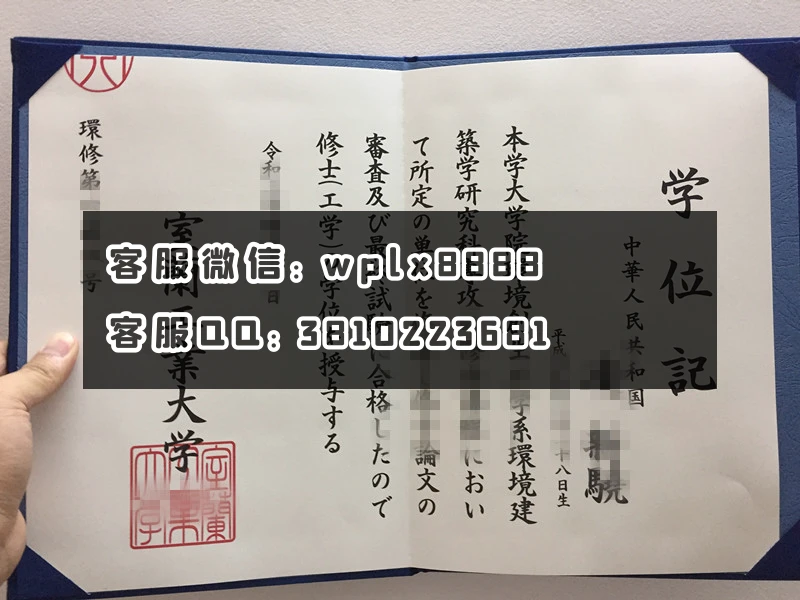 日本室兰工业大学    学位记实拍