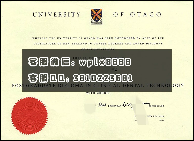 奥塔哥大学University of Otago_副本