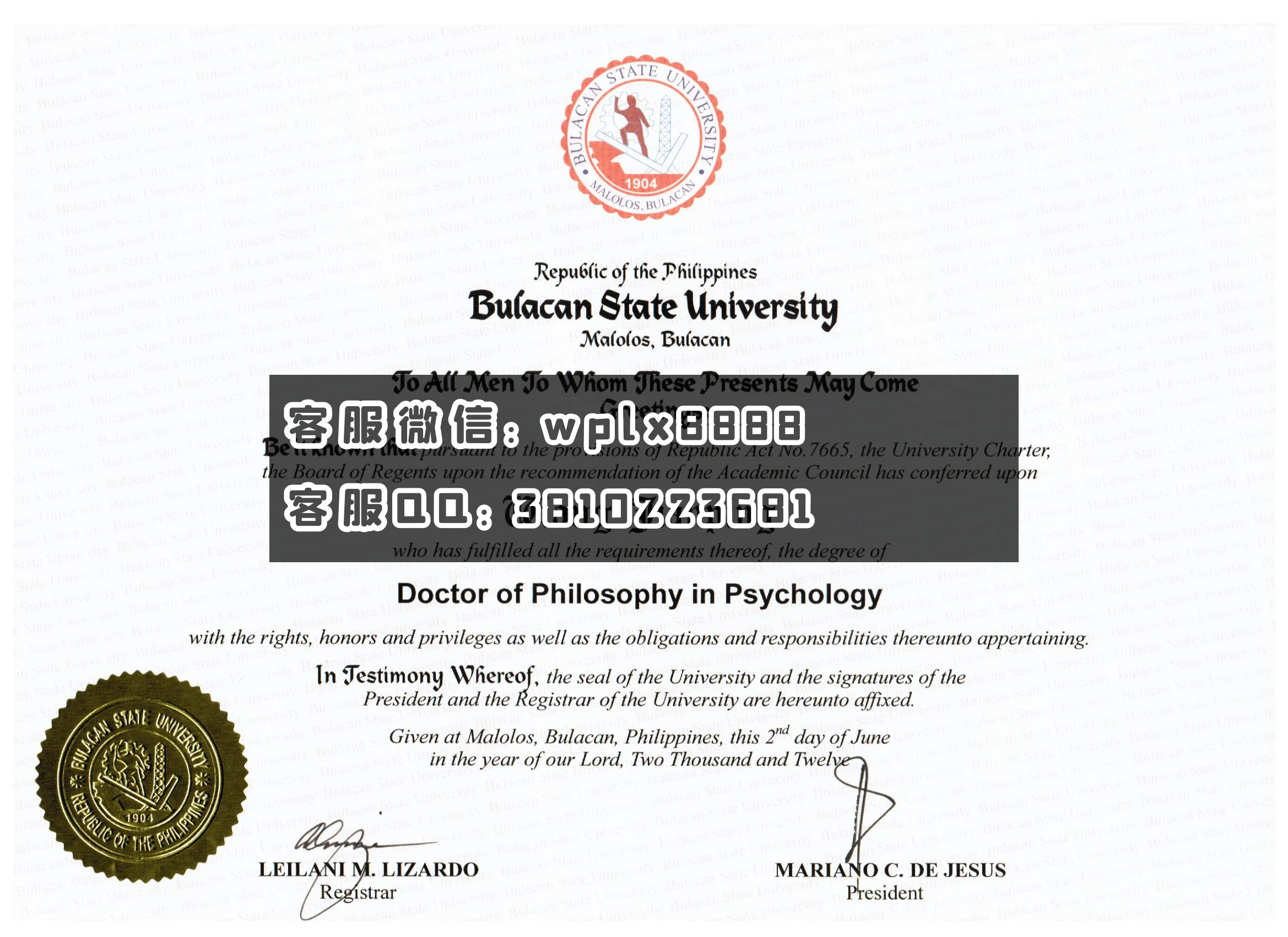 菲律宾比立勤国立大学,Bulacan State University