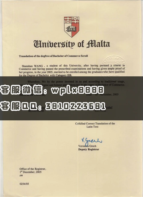 马耳他大学 university of malta