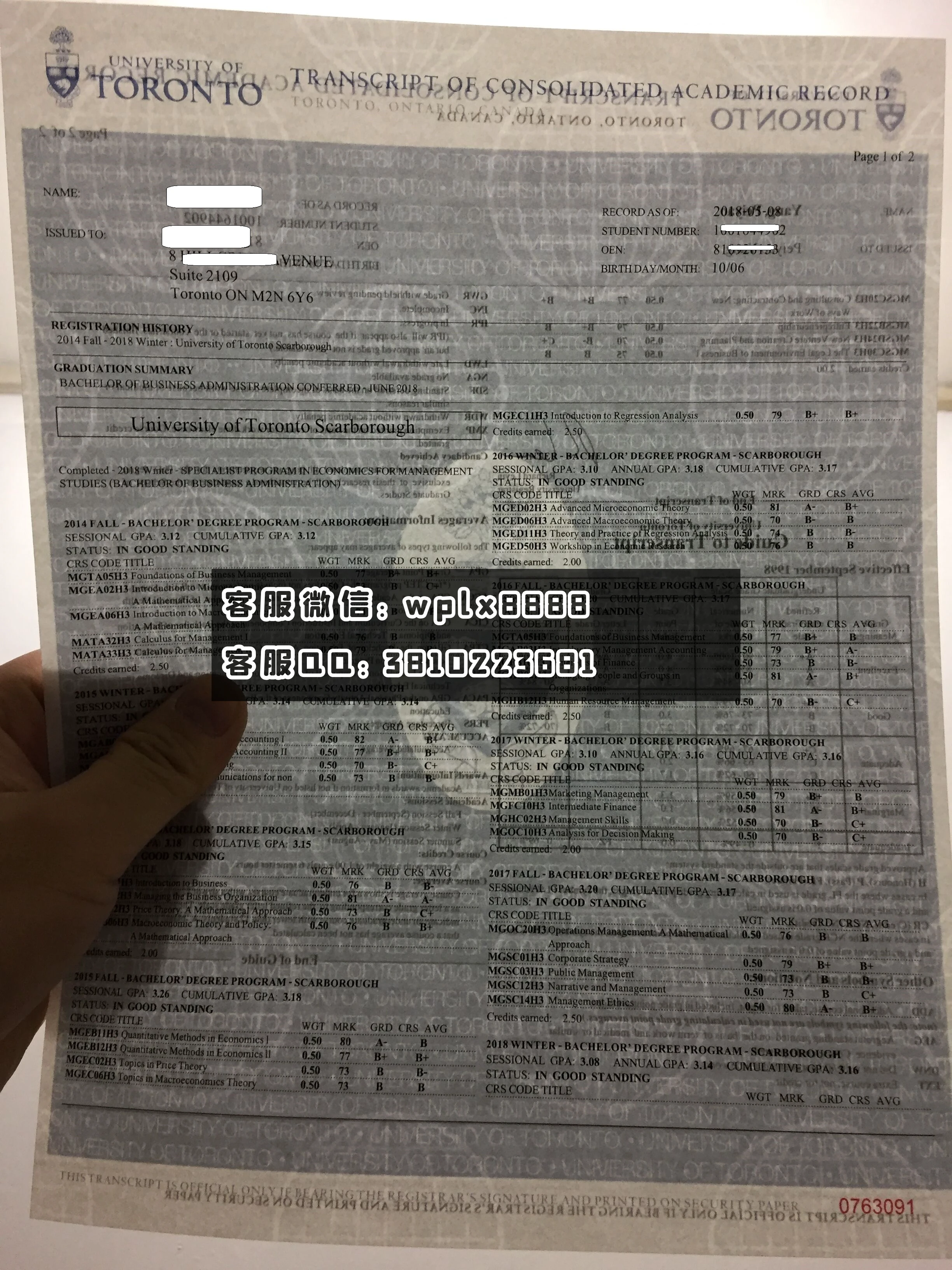 多伦多大学成绩单  水印