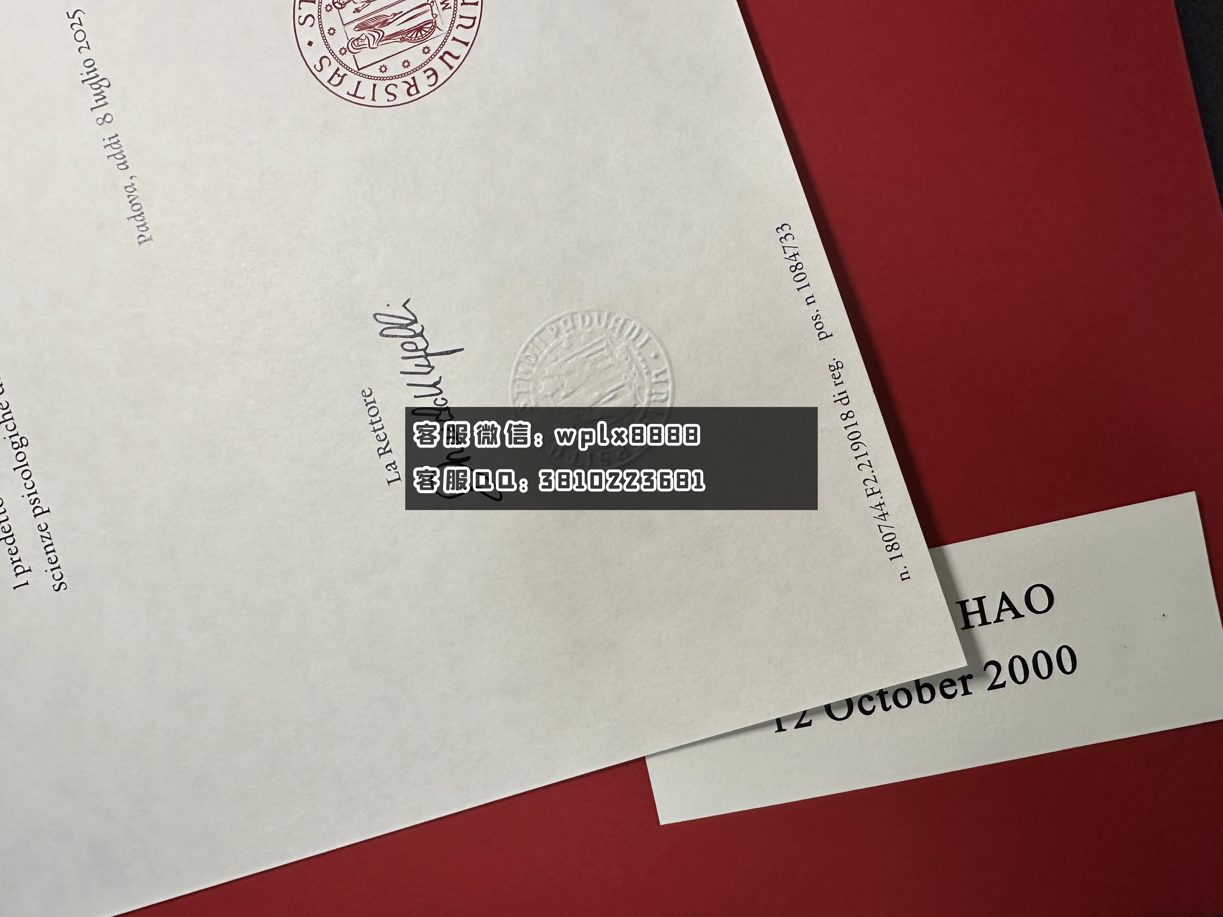 意大利帕多瓦大学钢印