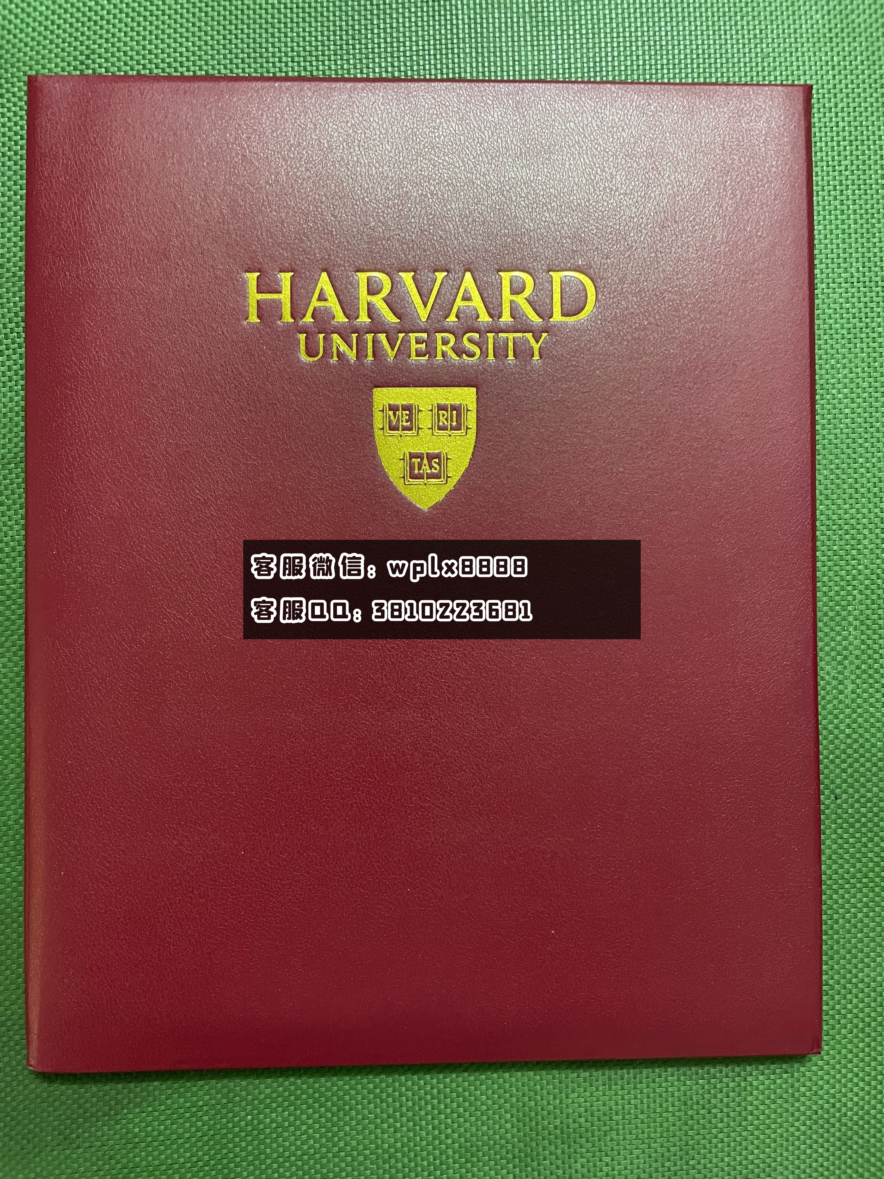 哈佛大学  壳子