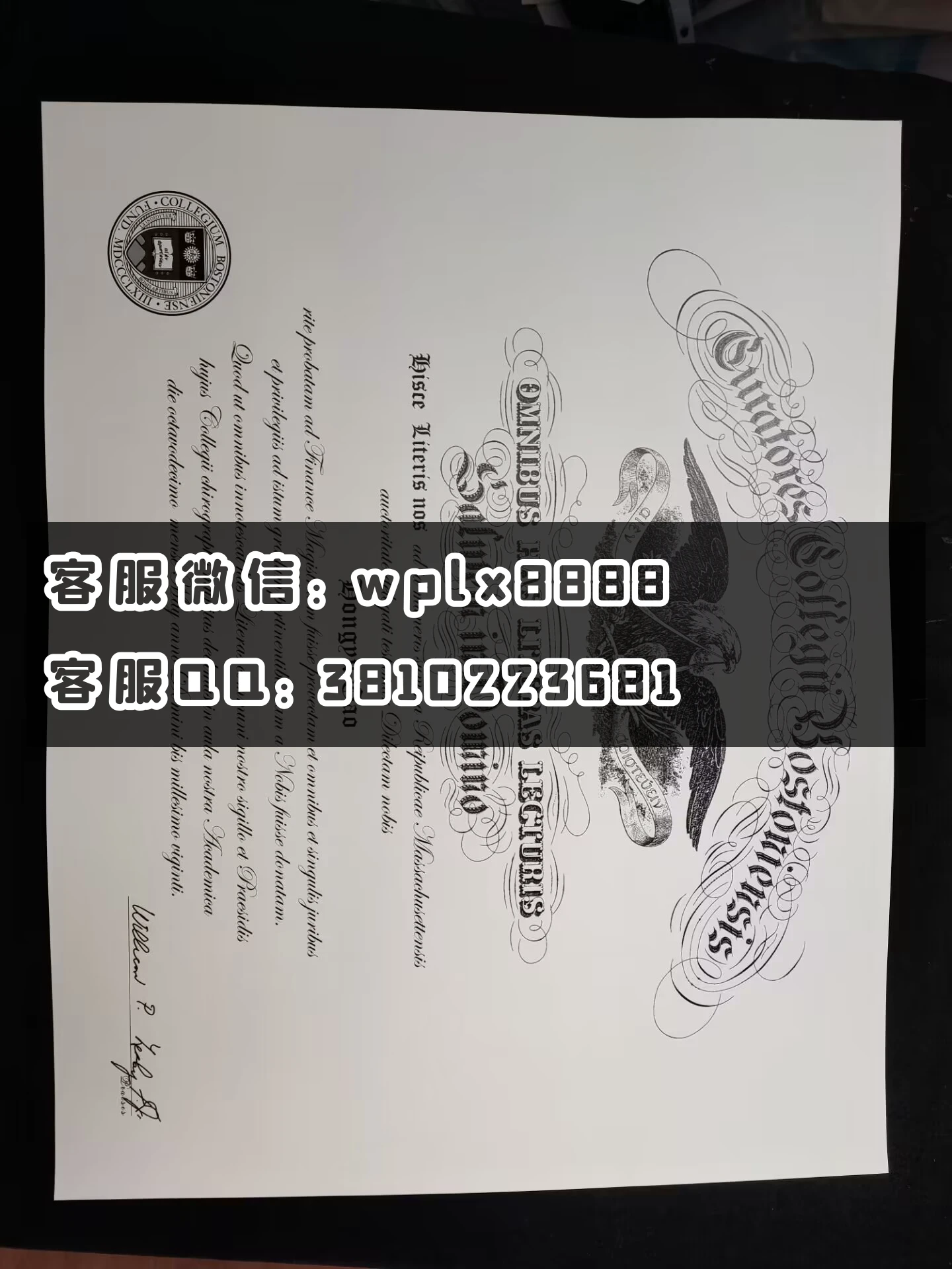 美国波士顿学院 成品Hongyu Gao-C