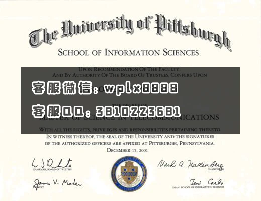 美国匹兹堡大学the university of pittsburgh