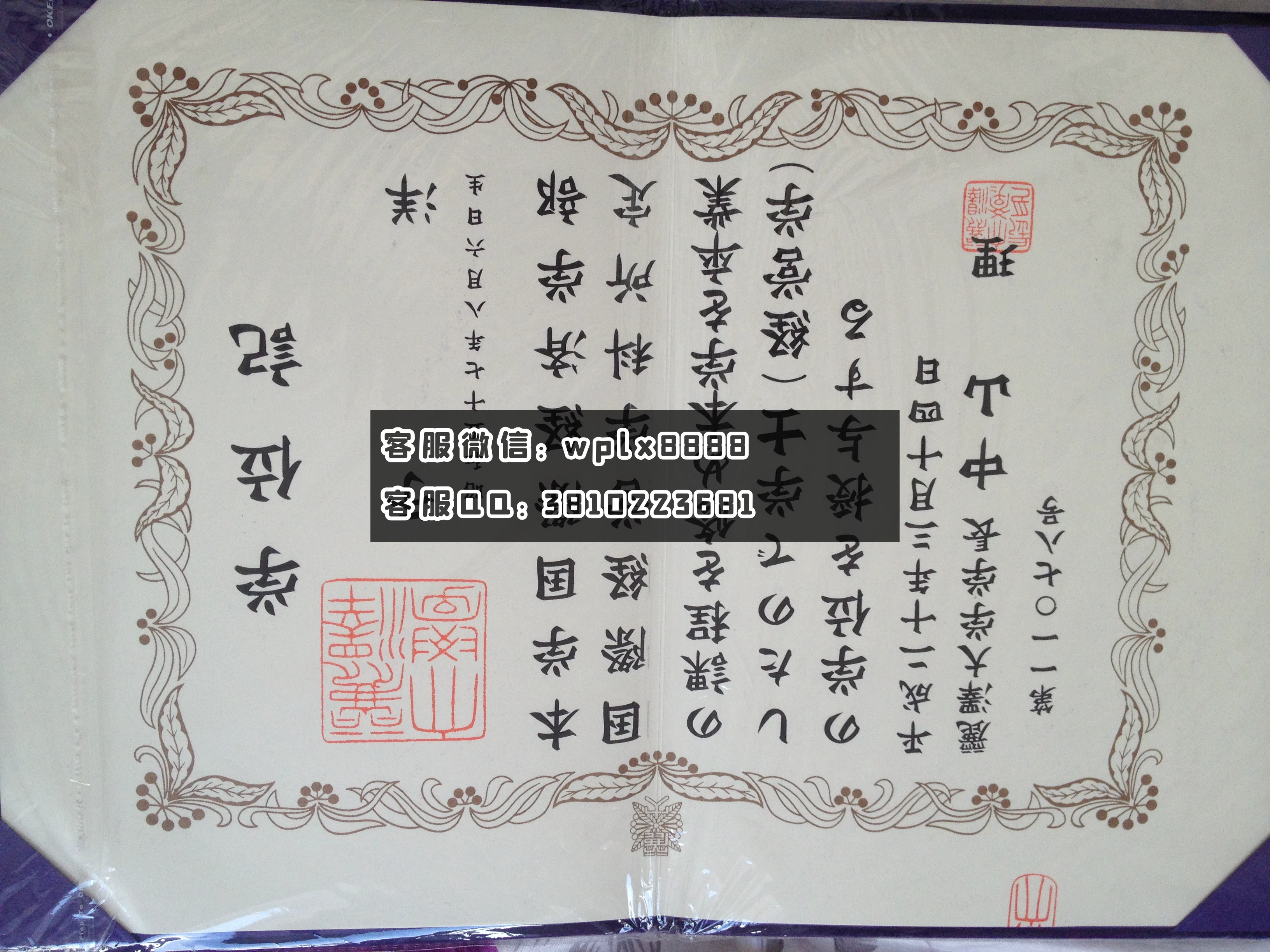 丽泽大学毕业证 