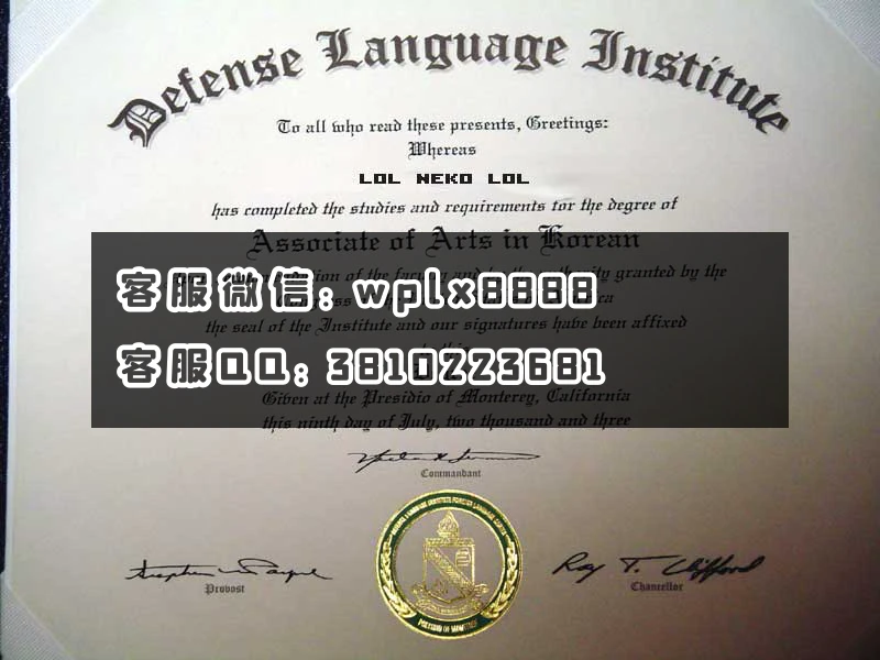 国防语言学院 defense language institute