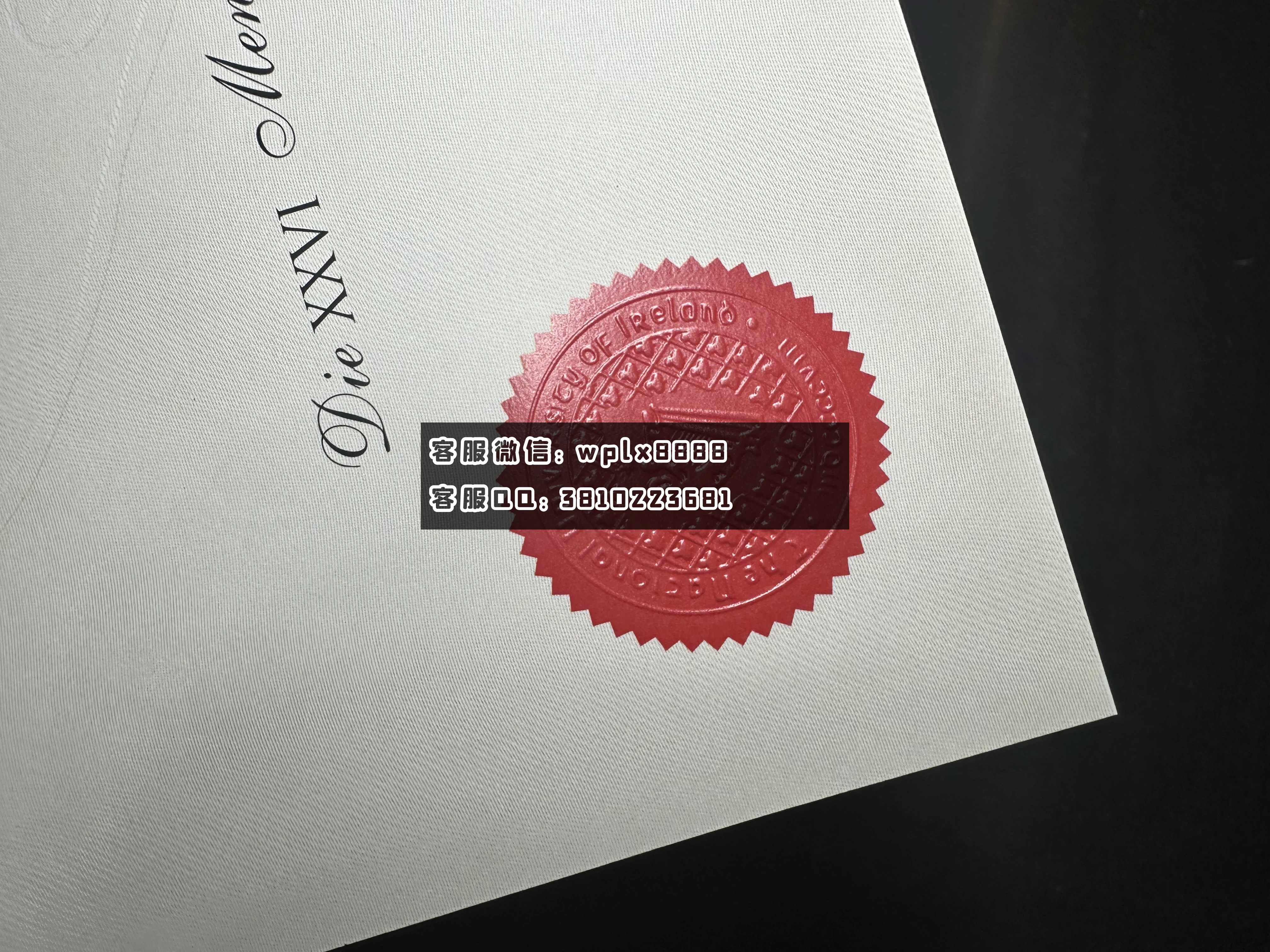 爱尔兰科克大学0