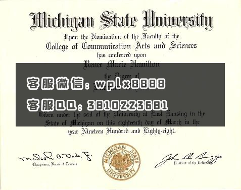 密歇根州立大学michigan state university 