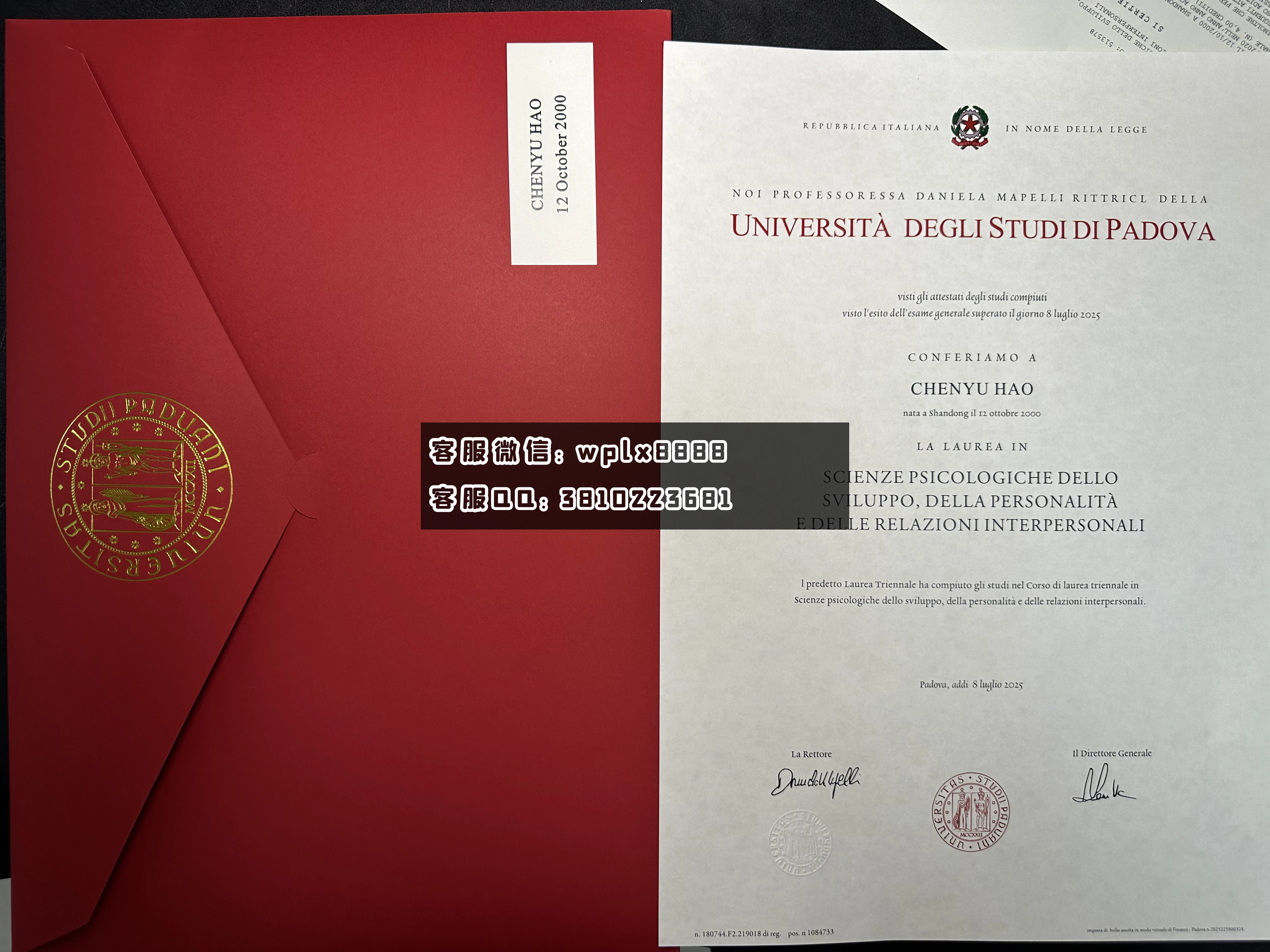 意大利帕多瓦大学C